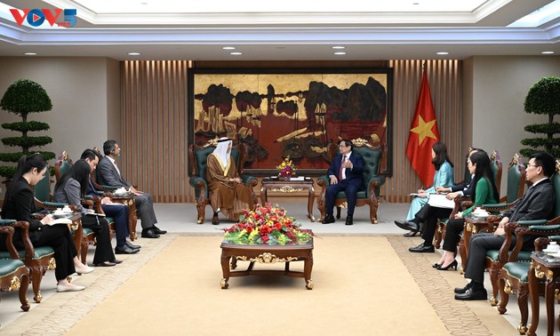 VAE wollen Vietnam beim Umgang mit Herausforderungen der Energiesicherheit unterstützen