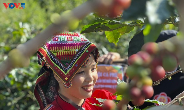 ກາເຟ Arabica ​ຊ່ວຍໃຫ້ເສດຖະກິດຂອງ ຈ່ຽງອານ ເຕີບ​ໂຕ