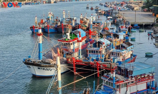 Pêche durable: Khanh Hoa prête pour l’inspection de l’UE