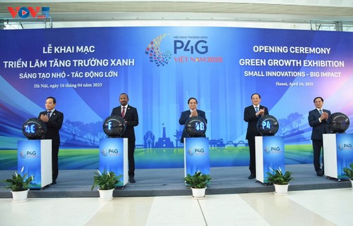 Vietnam impulsa el compromiso global por un planeta verde y un futuro sostenible - ảnh 4