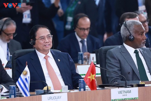 Primer Ministro de Vietnam propone medidas globales sobre medio ambiente y salud en la Cumbre BRICS - ảnh 1