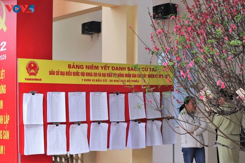 Elegir a los representantes más destacados por el desarrollo del país - ảnh 2