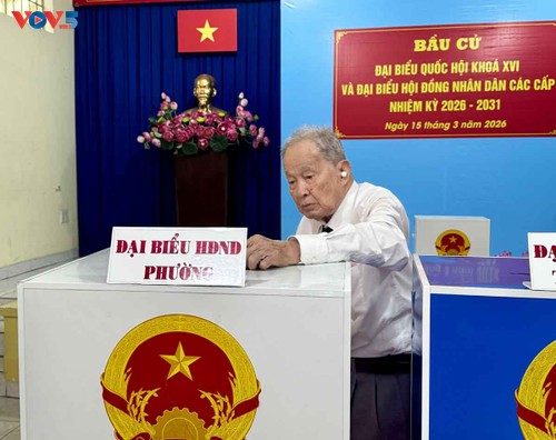 Más de 78 millones de vietnamitas ejercen su derecho al voto en las elecciones legislativas y locales - ảnh 6