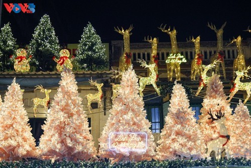 La calle Hang Ma se pone espléndida a medida que se acerca la Navidad - ảnh 2