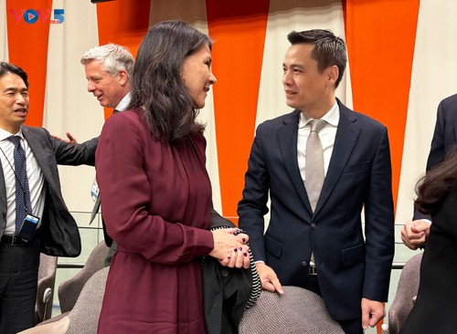 Vietnam reitera su continua contribución a Oficina del Presidente de Asamblea General de la ONU - ảnh 1