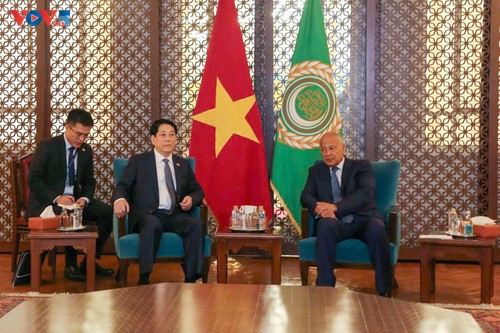 Vietnam desea desarrollar relaciones más sustanciales y efectivas con la Liga Árabe - ảnh 1