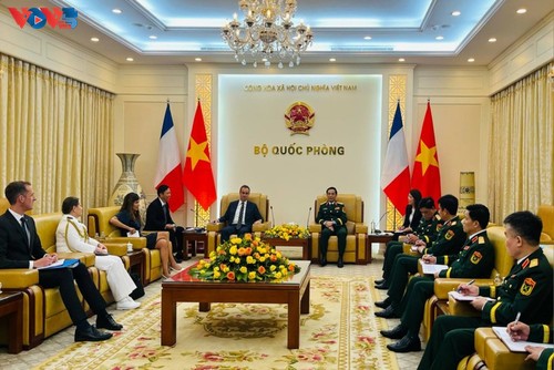 Vietnam y Francia buscan reforzar su cooperación en defensa - ảnh 1