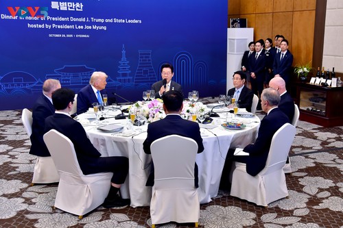 Presidente vietnamita asiste a la cena de bienvenida ofrecida a los líderes de APEC - ảnh 1