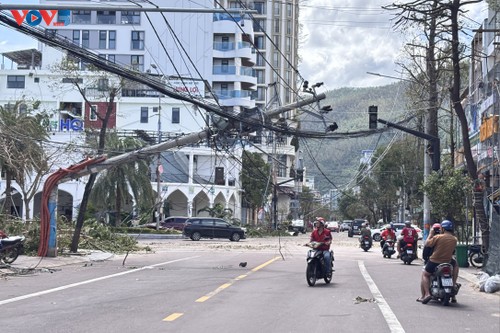Más de un millón de dólares para apoyar a las provincias afectadas por el tifón Kalmaegi  - ảnh 1