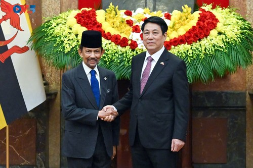 Sultán de Brunéi recibido por altos dirigentes vietnamitas - ảnh 1