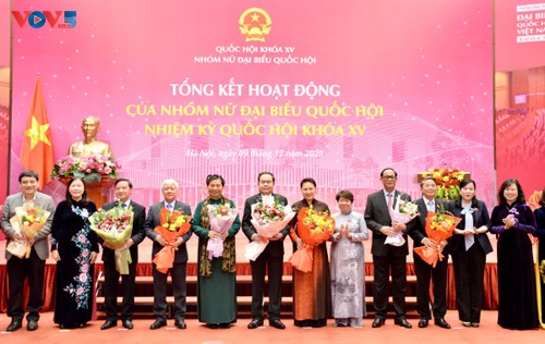 Balance de las actividades del Grupo de Diputadas de la Asamblea Nacional de Vietnam - ảnh 2