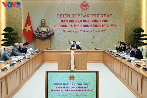 Primer Ministro de Vietnam insta a acelerar el desembolso de la inversión pública y financiar 3.000 proyectos - ảnh 1