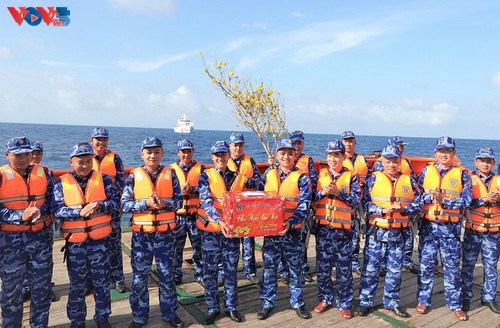 Entregan regalos de Tet a soldados desplegados en aguas lejanas - ảnh 2