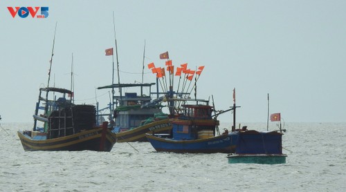 Lam Dong refuerza control sobre barcos pesqueros que no cumplen con los requisitos operativos - ảnh 1