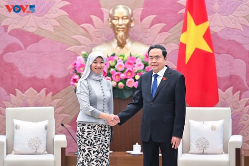 Le Vietnam salue le rôle de l'AIPA pour la paix et le développement régional - ảnh 1