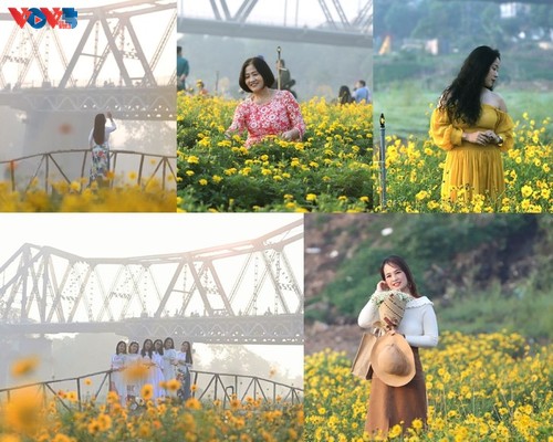 Le tapis de fleurs sous le pont Long Biên séduit les visiteurs - ảnh 12