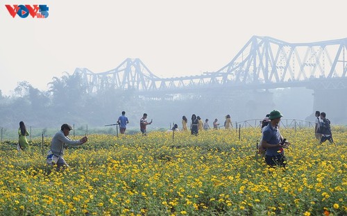 Le tapis de fleurs sous le pont Long Biên séduit les visiteurs - ảnh 2