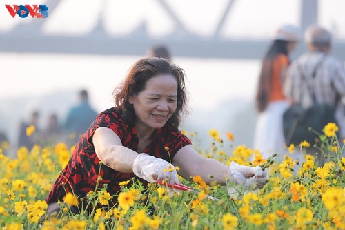 Le tapis de fleurs sous le pont Long Biên séduit les visiteurs - ảnh 5