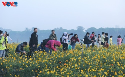 Le tapis de fleurs sous le pont Long Biên séduit les visiteurs - ảnh 6