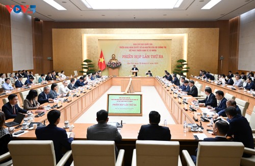 Le Premier ministre réunit la Direction nationale de développement du secteur privé - ảnh 1