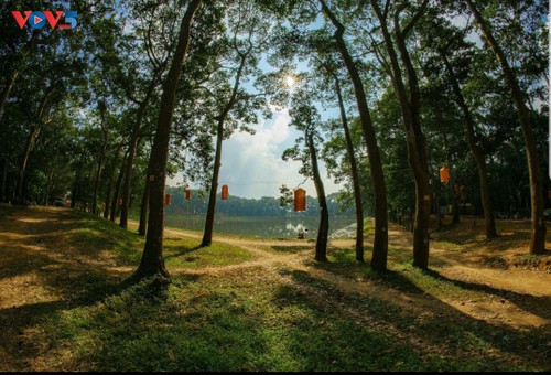 Entdeckung der Sehenswürdigkeiten von Teich Ba Om, Pagode Ang und Kulturmuseum der Khmer - ảnh 2