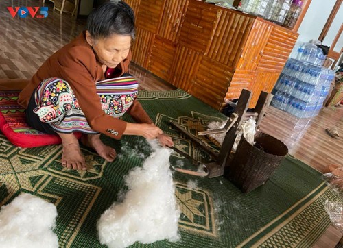 Die traditionelle Brokatweberei der Volksgruppe der Thai im Dorf Hoa Tien - ảnh 3