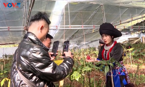 Kaum Pemuda Lai Chau Melakukan Usaha Rintisan dan Usaha Ekonomi pada Era Digital - ảnh 2