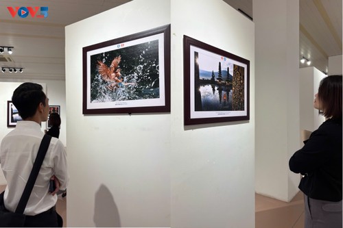 Pameran Foto : “Vietnam-Indonesia: Melalui Lensa Persahabatan“ - ảnh 12