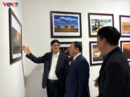 Pameran Foto : “Vietnam-Indonesia: Melalui Lensa Persahabatan“ - ảnh 18