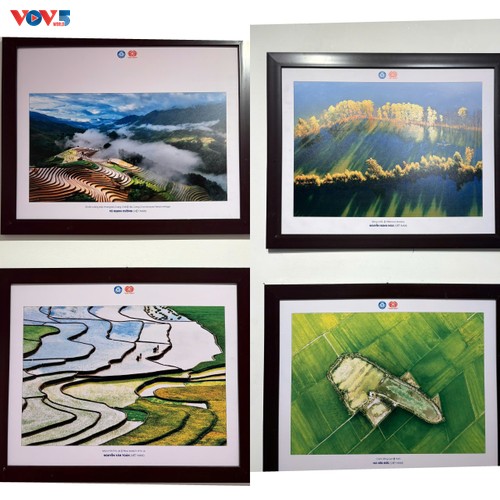 Pameran Foto : “Vietnam-Indonesia: Melalui Lensa Persahabatan“ - ảnh 7