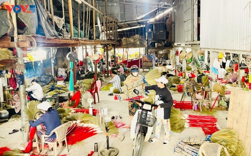 Die Schönheit des traditionellen Handwerksdorfs für Gras-Besen Chiem Son in der Provinz Quang Nam  - ảnh 1