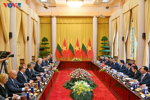 Staatspräsident Luong Cuong führt Gespräch mit dem litauischen Präsidenten Gitanas Nauseda - ảnh 1