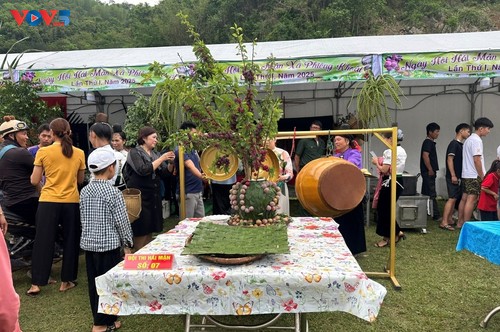 Bauern in Phieng Khoai steigert den Wert von Obstbäumen zur Einkommensverbesserung - ảnh 2