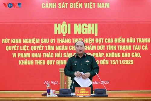 Polisi Laut Vietnam Melaksanakan Secara Sinkron Solusi-Solusi Pemberantasan IUU Hasil Perikanan - ảnh 2