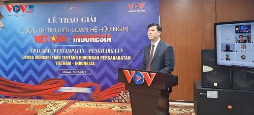 VOV Berkontribusi pada Peningkatan Pemahaman Publik tentang Hubungan Vietnam-Indonesia - ảnh 2
