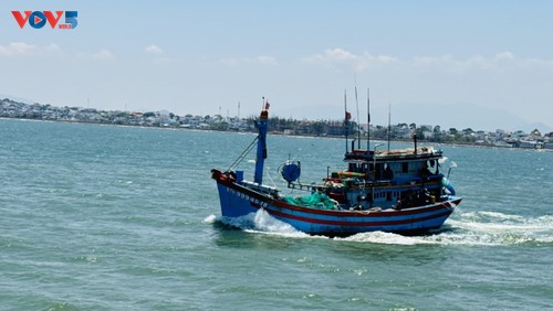 Provinsi Lam Dong Tingkatkan Efisiensi Pemberantasan IUU - ảnh 2