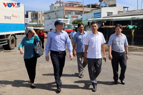 胡志明市严控不符合出海条件渔船 - ảnh 1