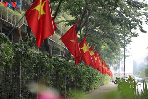 首都河内张灯结彩，喜迎越共十四大 - ảnh 21