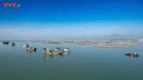 广宁省提前完成渔船管理目标，无渔船侵犯他国海域 - ảnh 1