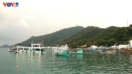 西南海岛军民对越共十四大的成功充满信心 - ảnh 1