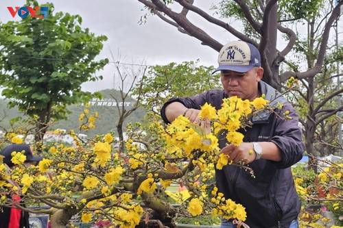 弘扬越南春节特色文化的活动在各地开幕 - ảnh 2