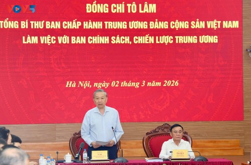 苏林：为到2045年的发展奠定坚实基础 - ảnh 1