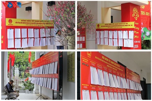 河内心花怒放面向全国大选 - ảnh 16
