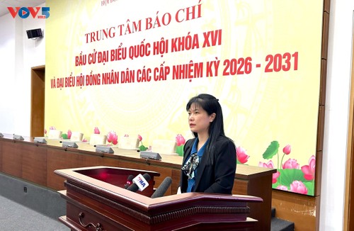 全国已有超过3000万选民参加投票 - ảnh 1