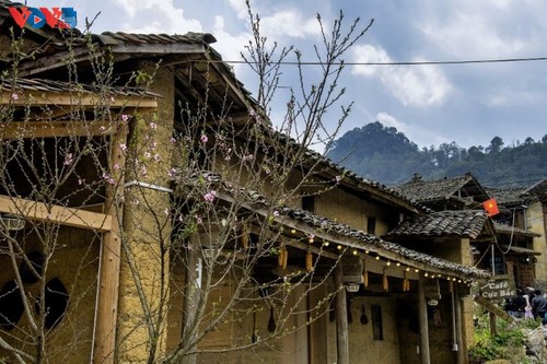 Le printemps, la plus belle saison à Hà Giang - ảnh 7