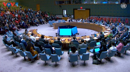 Le Vietnam plaide pour un développement durable au service de la paix - ảnh 1