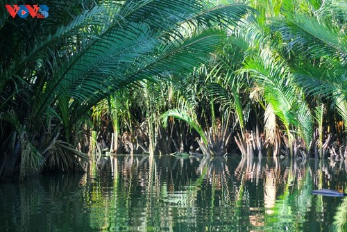 Bay Mâu - un “petit delta du Mékong” au cœur de Hôi An - ảnh 8
