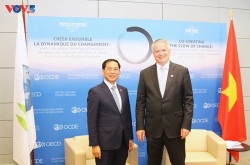 Vietnam steps up cooperation with OECD  - ảnh 1
