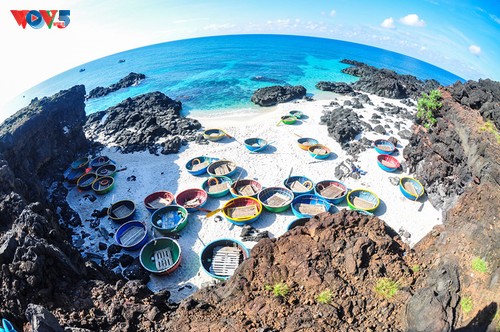 ”死火山の博物館”とも呼ばれるリーソン島 - ảnh 1