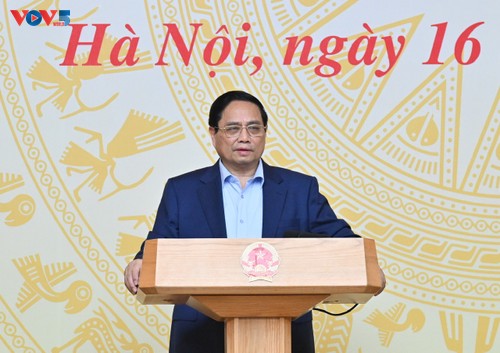 チン首相、経済成長シナリオに関する全国オンライン会議を主宰 - ảnh 1